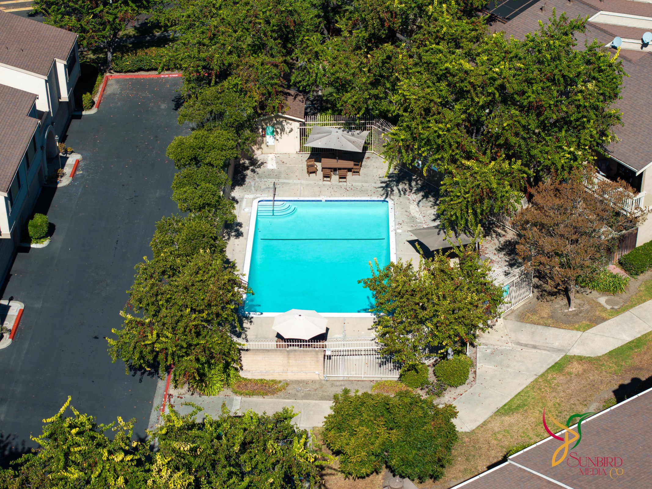 Cedar Glen community pool surrounded by mature green landscaping